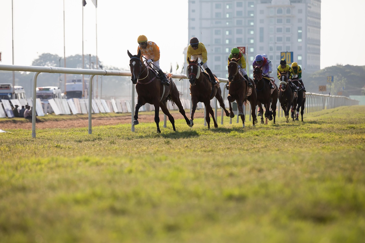 Horse racing legal