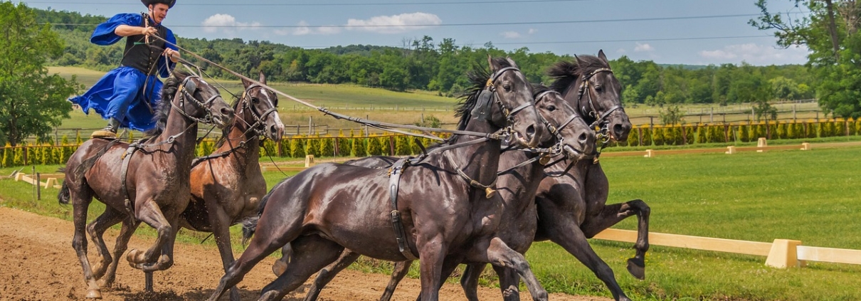 Horse Racing