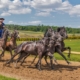 Horse Racing