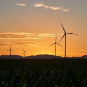 Green Casino Initiatives