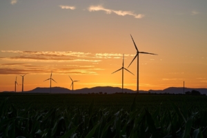 Green Casino Initiatives