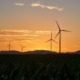 Green Casino Initiatives