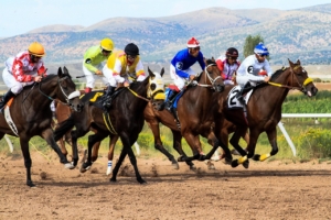 Online sportsbooks analysis