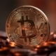Crypto Casinos