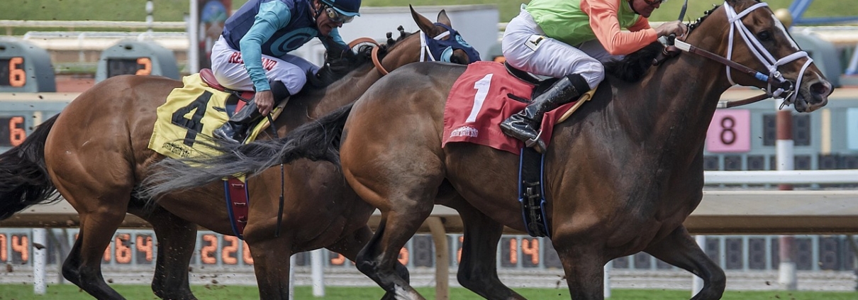 Sports bettors at a FanDuel Sportsbook
