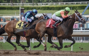 Sports bettors at a FanDuel Sportsbook