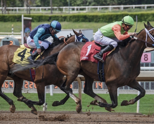 Sports bettors at a FanDuel Sportsbook