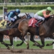 Sports bettors at a FanDuel Sportsbook