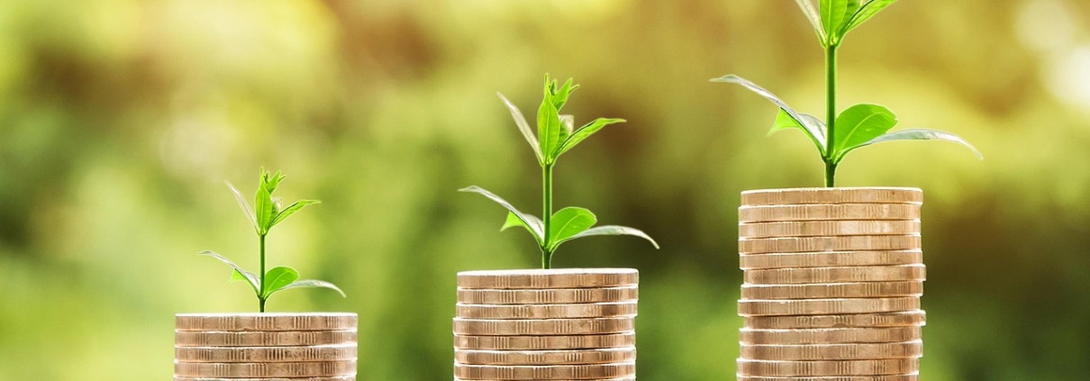 BetMGM financial report and online gambling growth