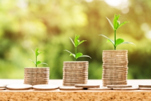 BetMGM financial report and online gambling growth