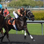 Analytics tools for betting