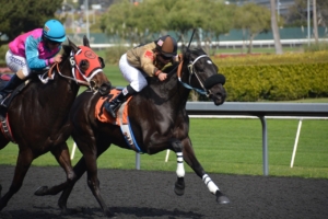 Analytics tools for betting